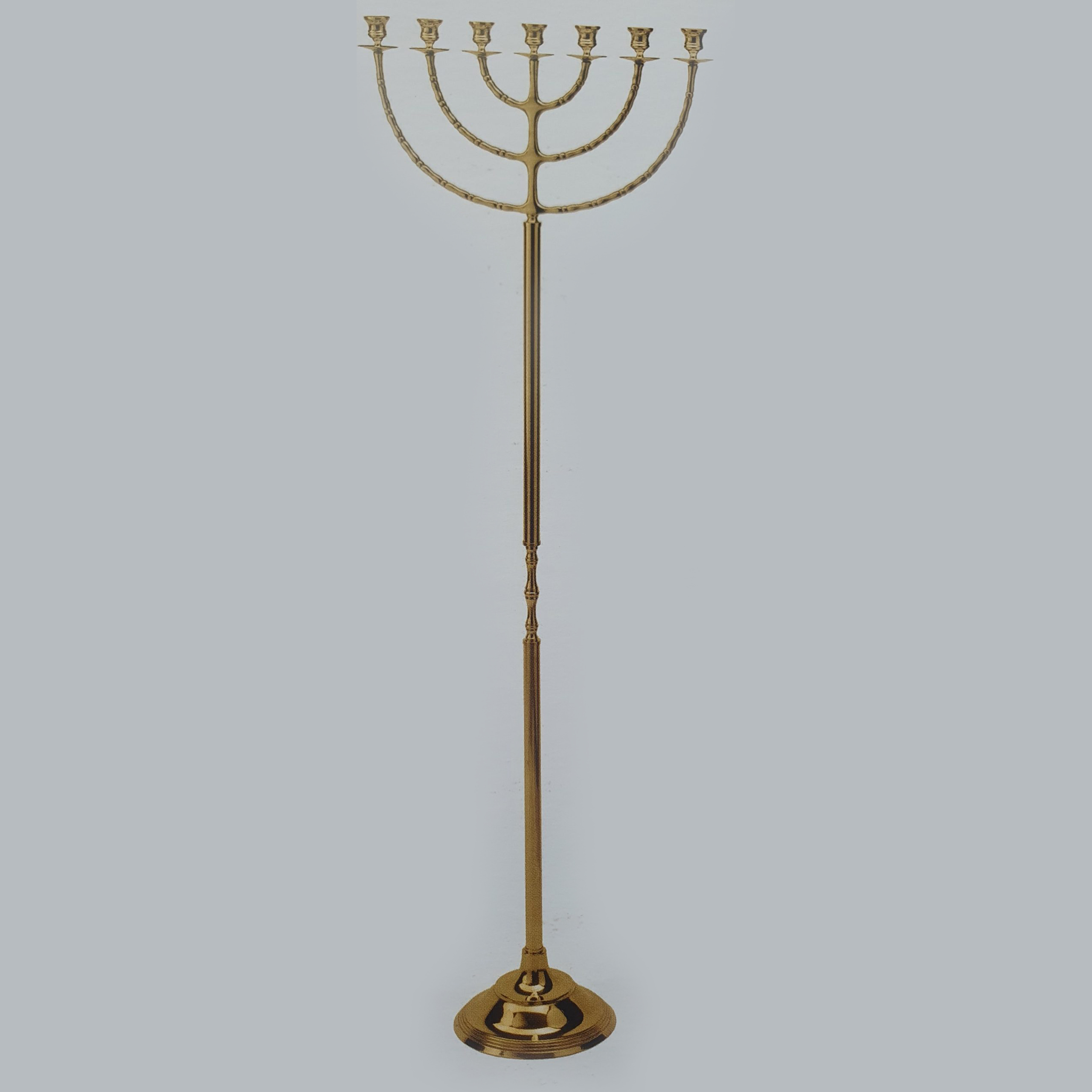 Candleholder Menora 7 arm 24 x 150 x 52.5